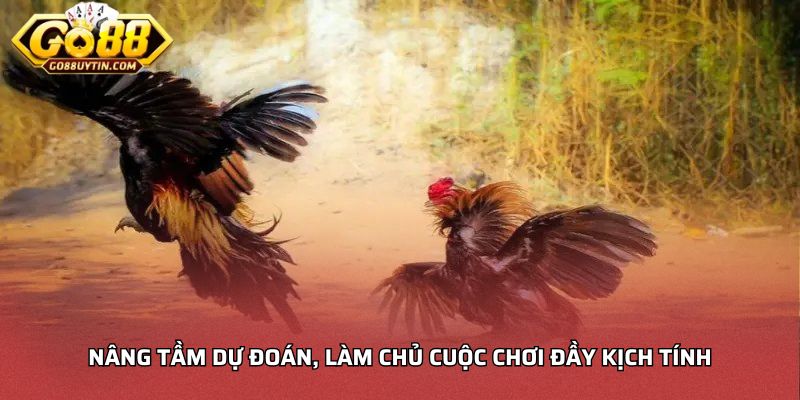 Nâng tầm dự đoán, làm chủ cuộc chơi đầy kịch tính